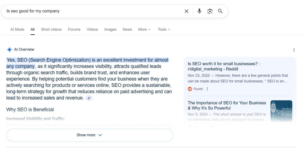 Google AI and SEO: What It Means for Your Business